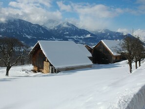 Exterior - Dünser in Dünserberg by Interhome (Dünserberg)