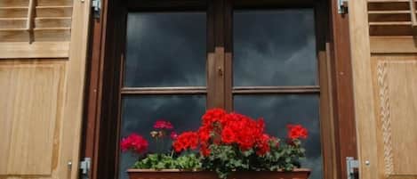 Une fenêtre avec des volets, un cadre en bois et une jardinière ornée de fleurs rouges.