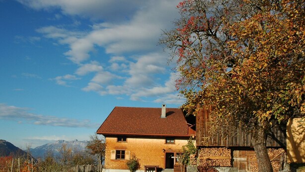 A two-story house with a sloped roof, a chimney, and a wooden fence. - Dünser in Dünserberg by Interhome (Dünserberg)