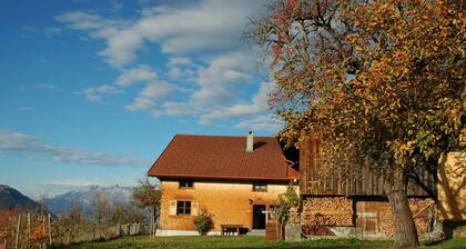 DĂŒnser in DĂŒnserberg by Interhome