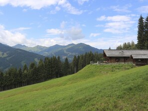 Miscellaneous - Remberghütte in Viehhofen by Interhome (Viehhofen)
