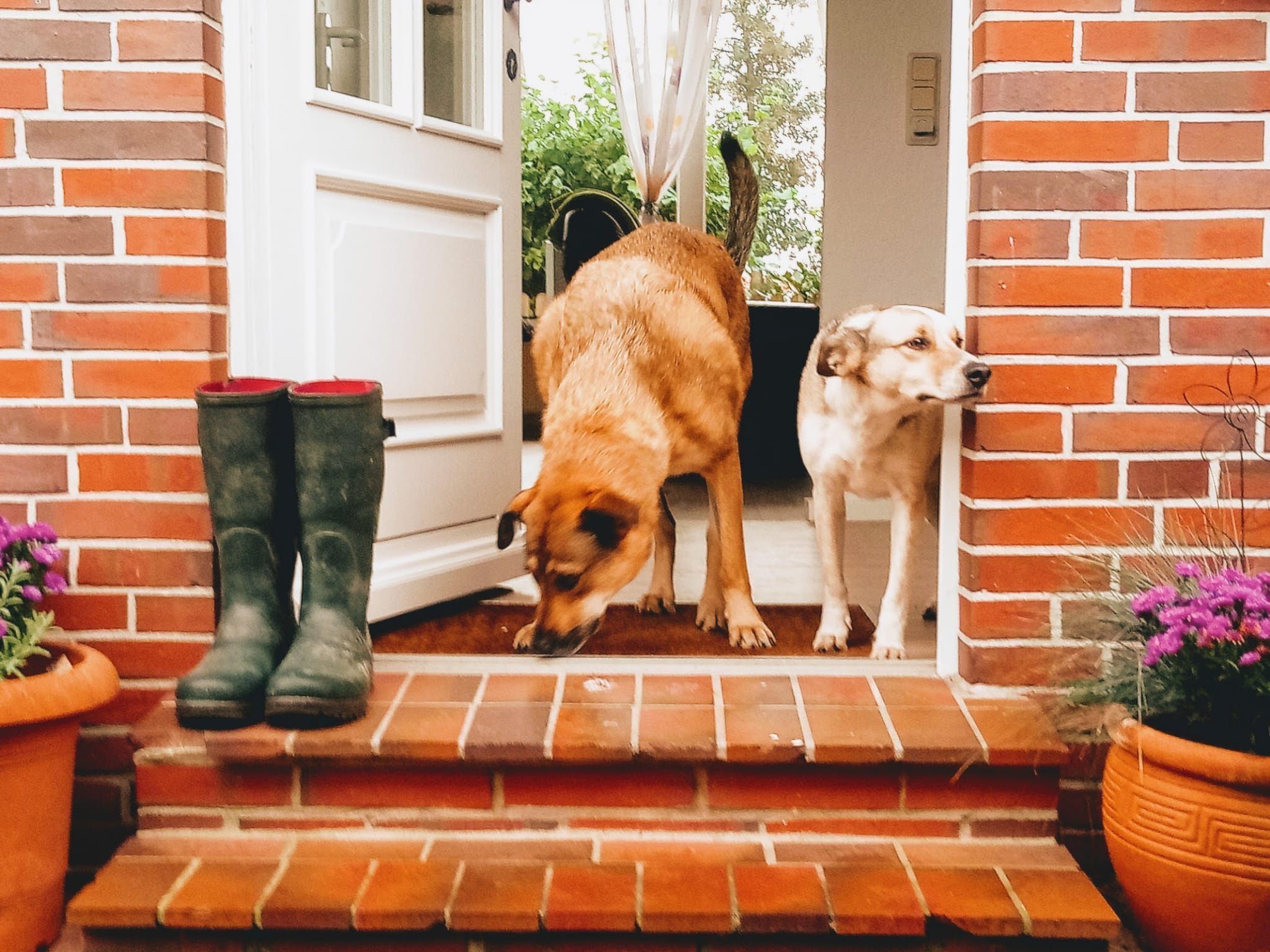 Détail de l’extérieur