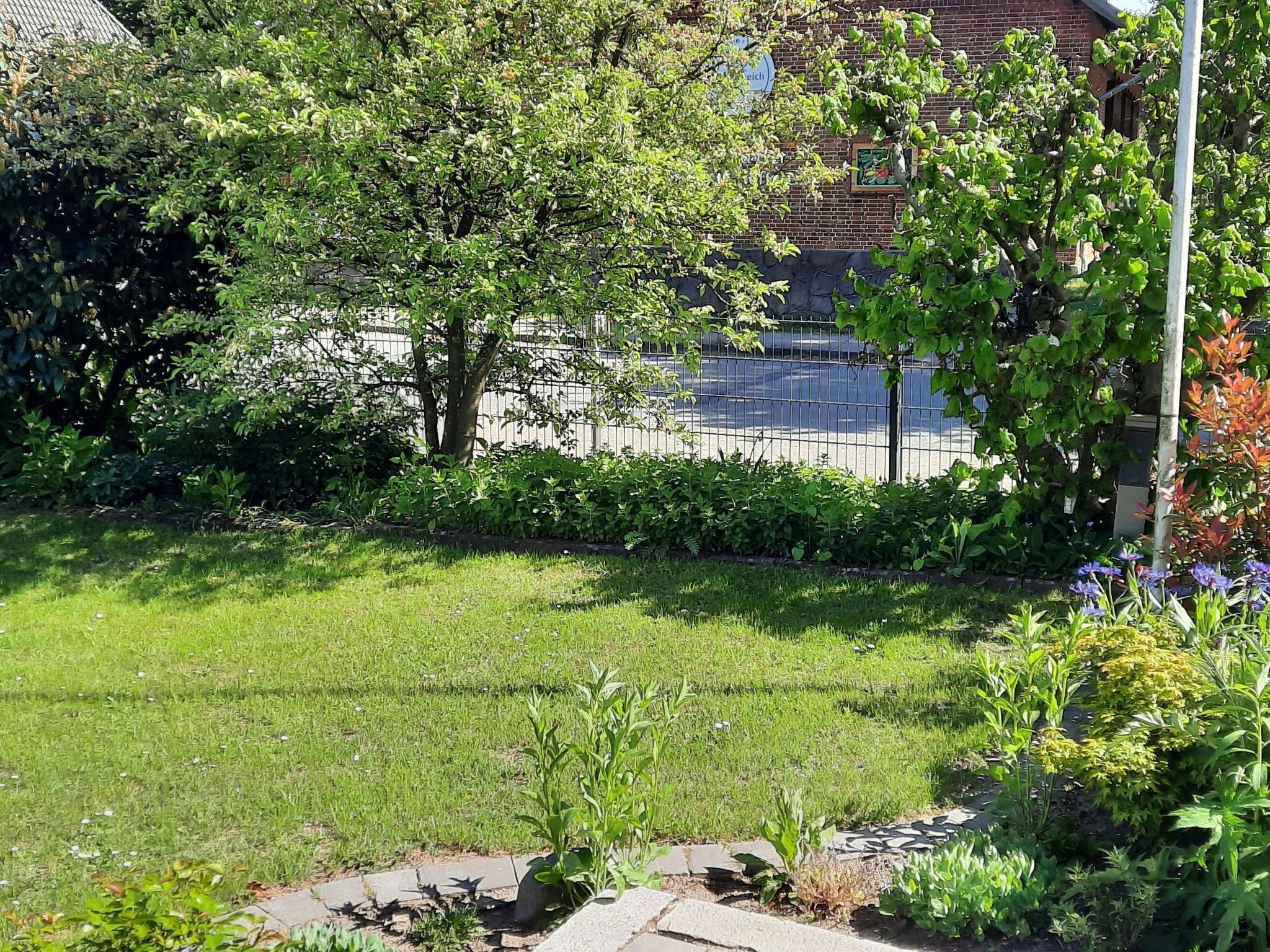 Um jardim bem cuidado, com diversas plantas e um caminho pavimentado.