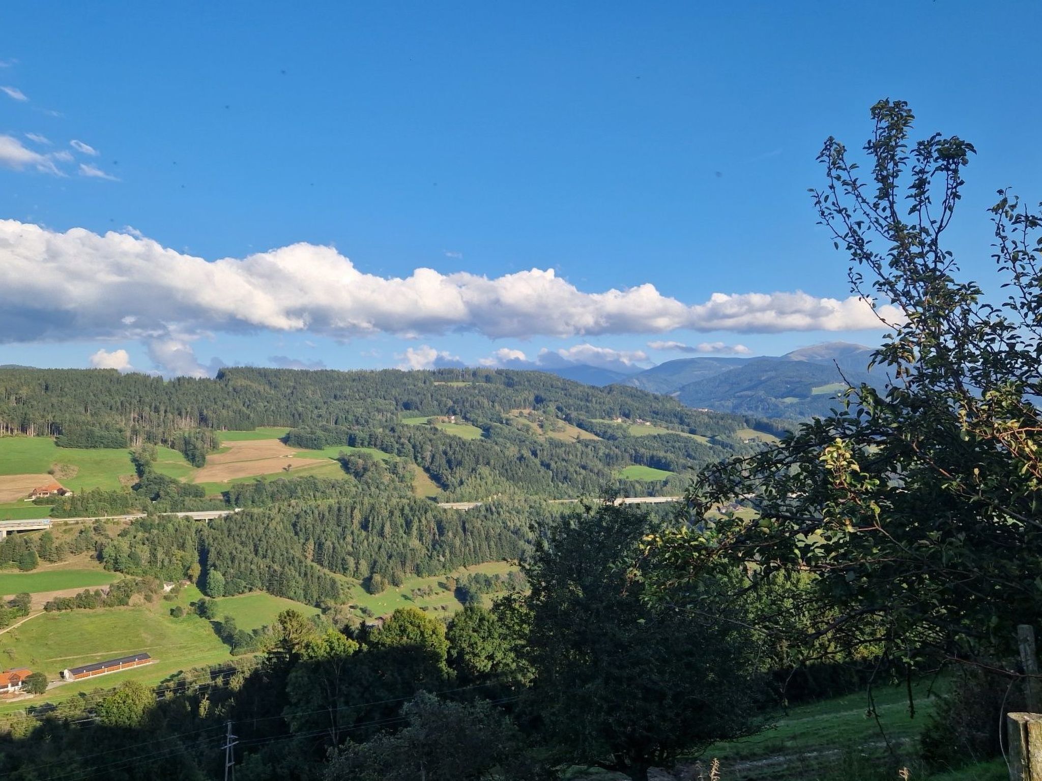 Et panorama over et bjergrigt landskab med grønne marker, spredte huse og tætte skove.
