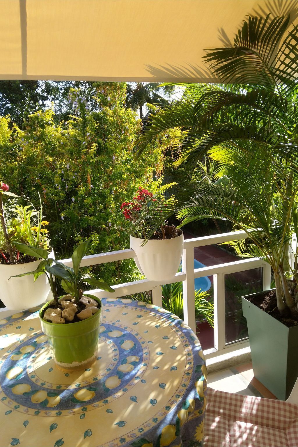 Parco della struttura