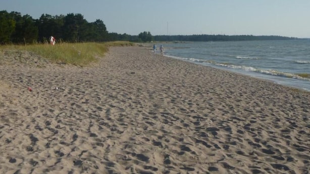 En sandstrand med fotspår som leder ner mot vattnet, en gräsyta med en flagga och en avlägsen trädrad.