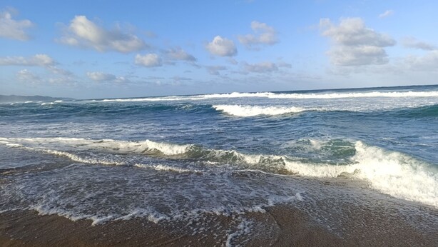 Une plage avec des vagues et un ciel dégagé.
