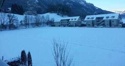 Apartement Feldkirch by Interhome
