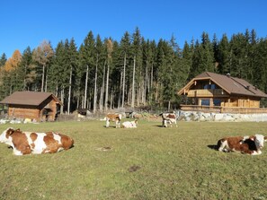 Áreas de la propiedad