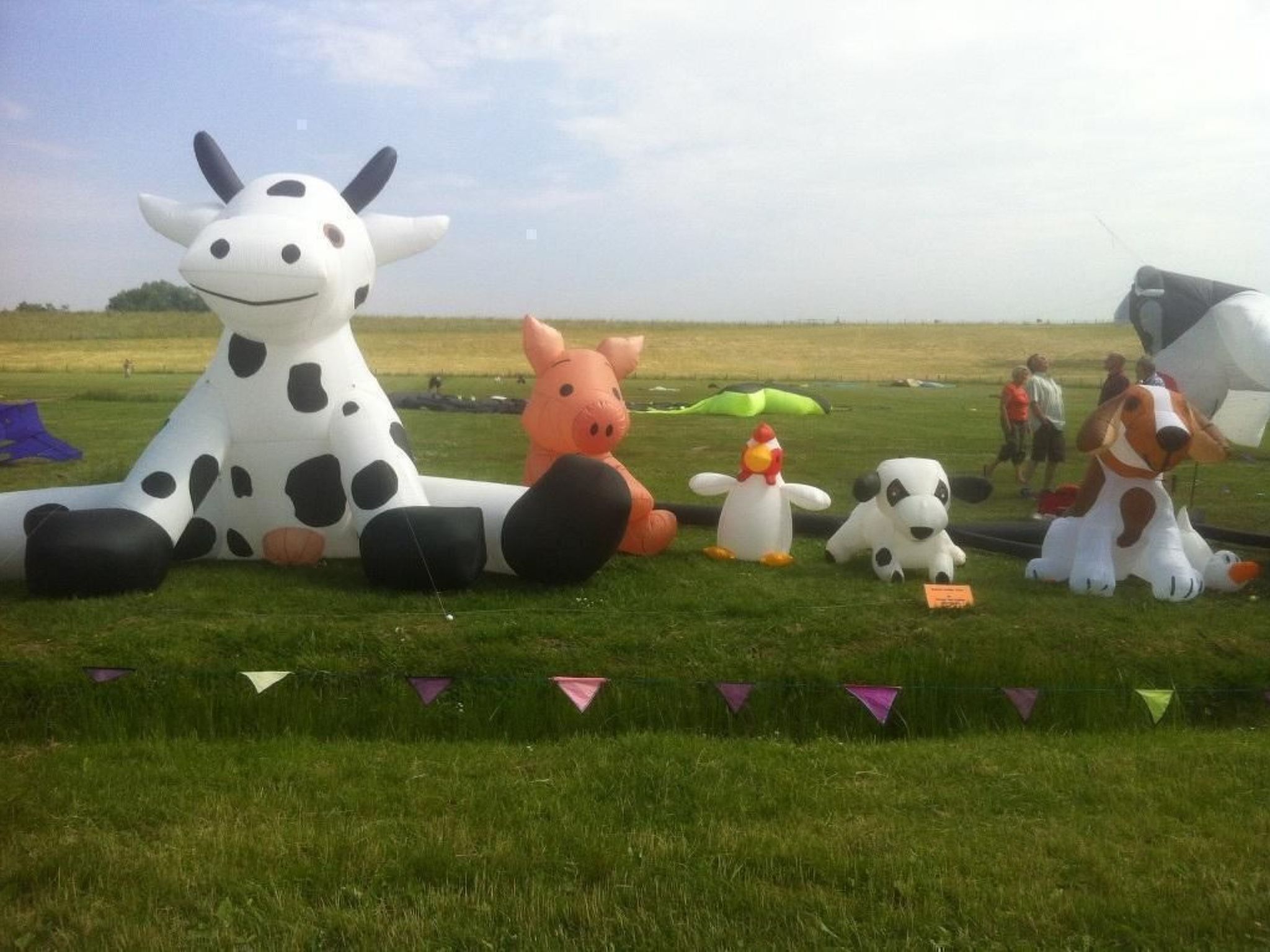Een grasveld met grote opblaasbare dierenfiguren, waaronder een koe, een varken en een hond.