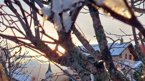 Ett snötäckt landskap med ett trästaket, kala träd och en byggnad med ett sluttande tak.
