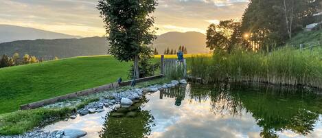 A tranquil outdoor scene with a pond, a wooden fence, and a tree.