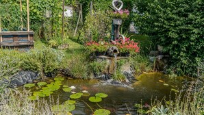 Un jardin avec un étang, entouré de différentes plantes et fleurs.