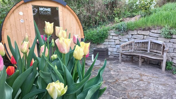 Una estructura de madera con el letrero "HOME DELUXE", rodeada de tulipanes y un banco de piedra.