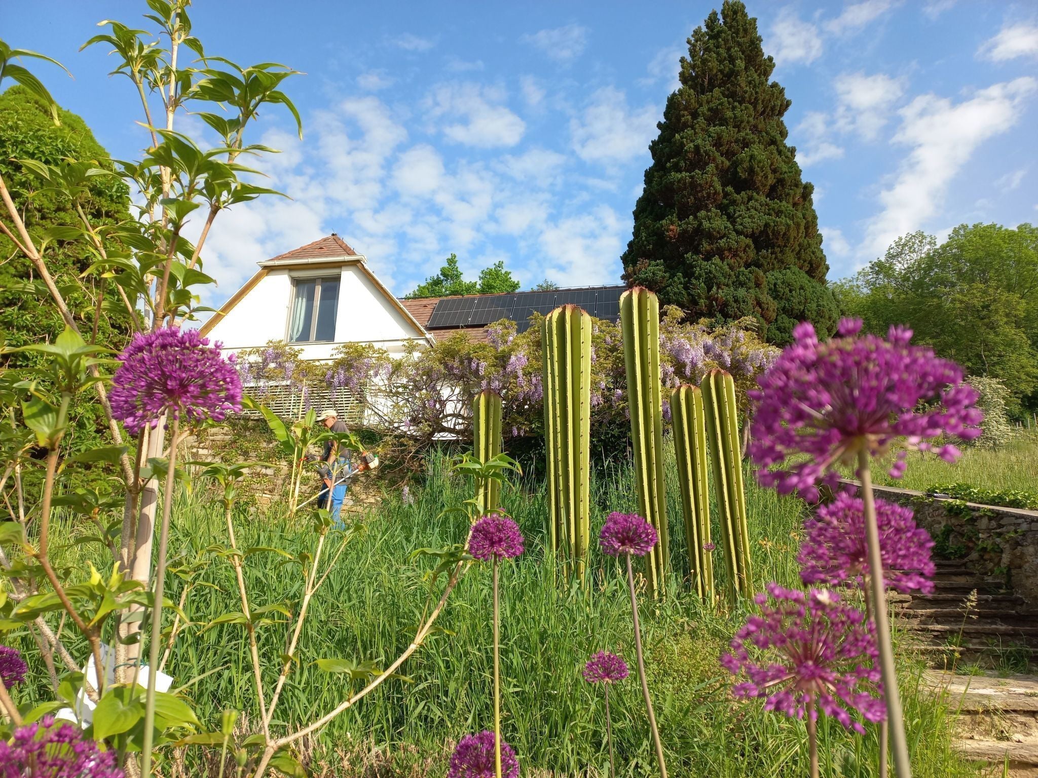 المنطقة المحيطة بالمنشأة