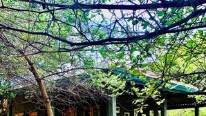 A traditional-style building with a stone wall, a pond with lily pads, and wooden furniture under a shaded area. - Yaalu Yaala Safari Camp (Palatupana)