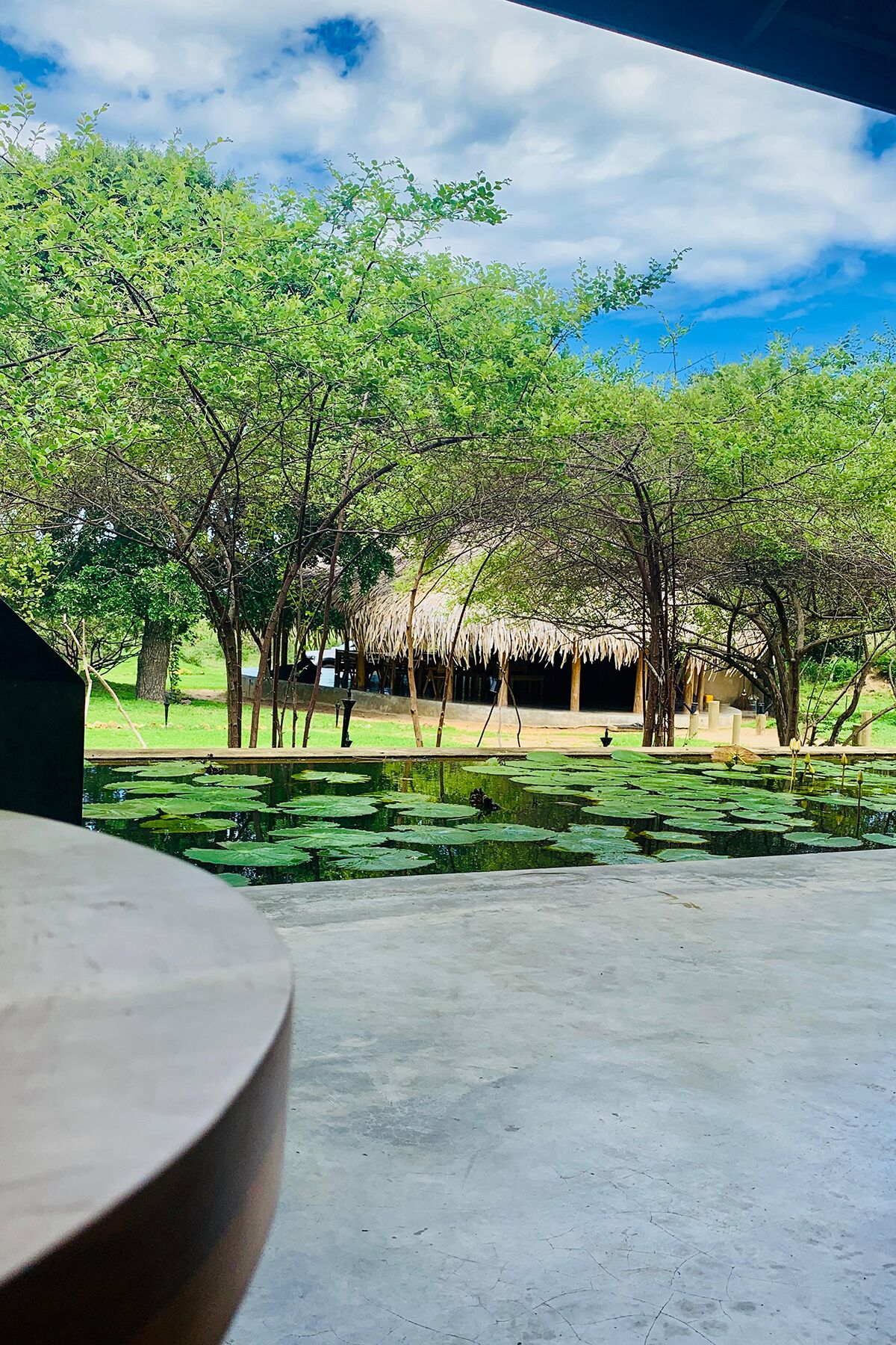 A view of a thatched-roof structure surrounded by trees and a pond with lily pads.