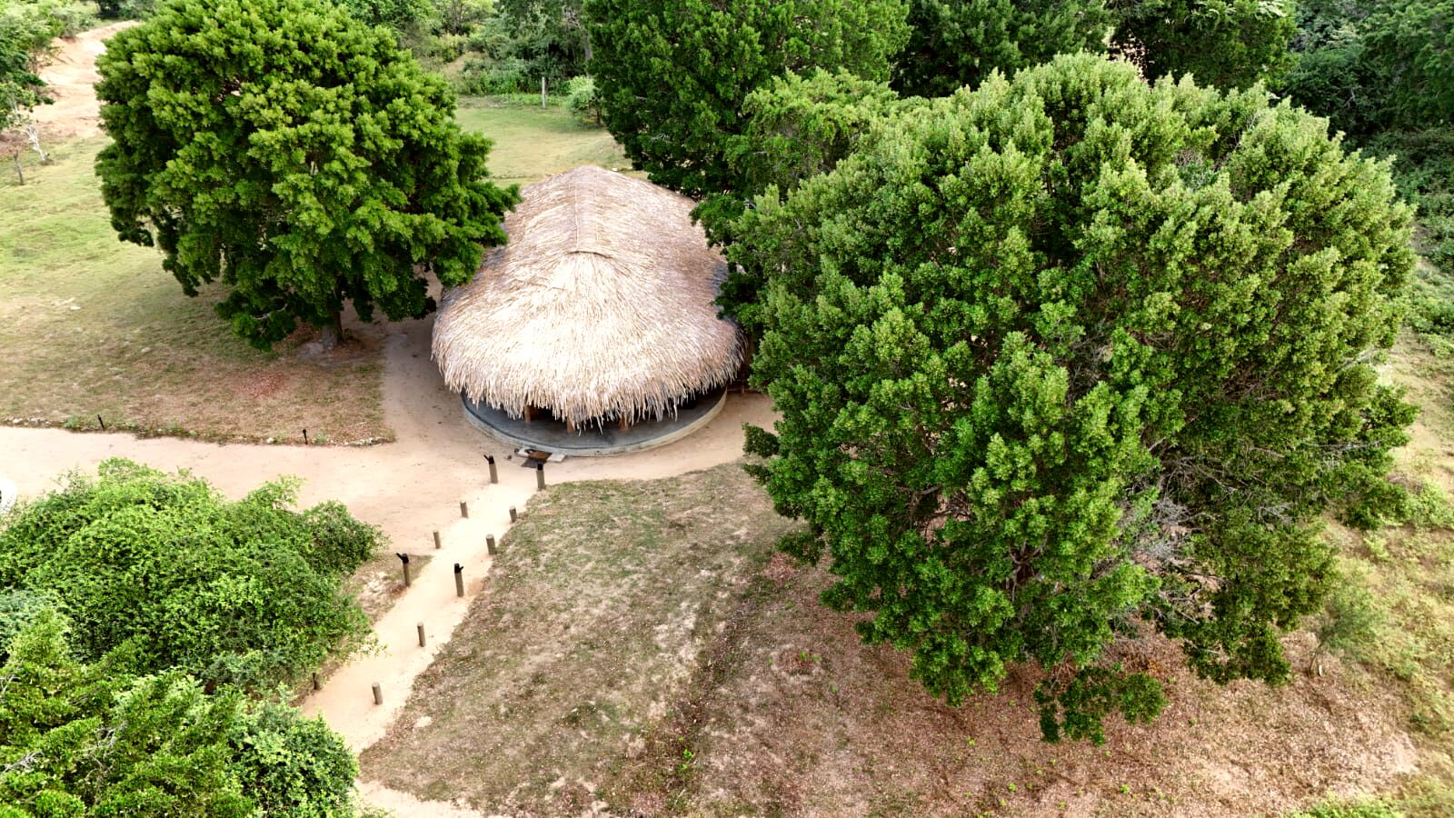 A thatched-roof structure surrounded by dense greenery.