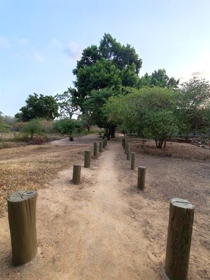 Front of property - Yaalu Yaala Safari Camp (Palatupana)