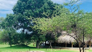A pond with lily pads surrounded by a grassy area and trees. - Yaalu Yaala Safari Camp (Palatupana)