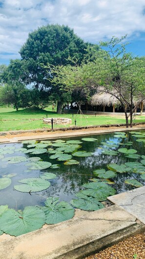 Garden - Yaalu Yaala Safari Camp (Palatupana)