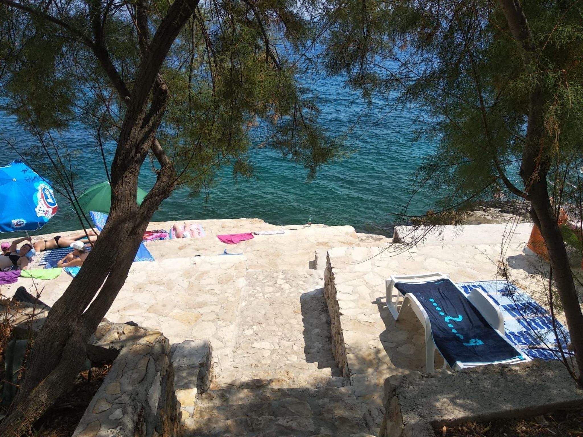 المنطقة المحيطة بالمنشأة