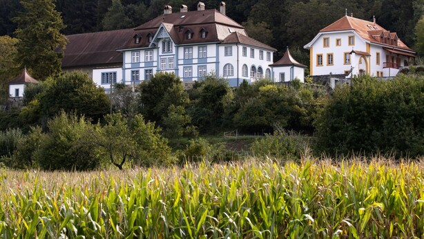 A traditional European-style building with multiple windows and a red roof, surrounded by lush greenery and a field of corn. - Chateau-Studio Bleu by Interhome (Marnand)