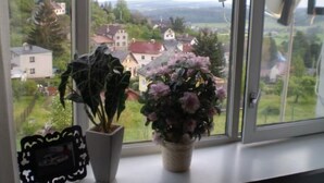 Une fenêtre donnant sur des maisons et de la verdure.