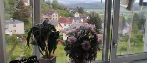 Una ventana con vistas a casas y vegetación.