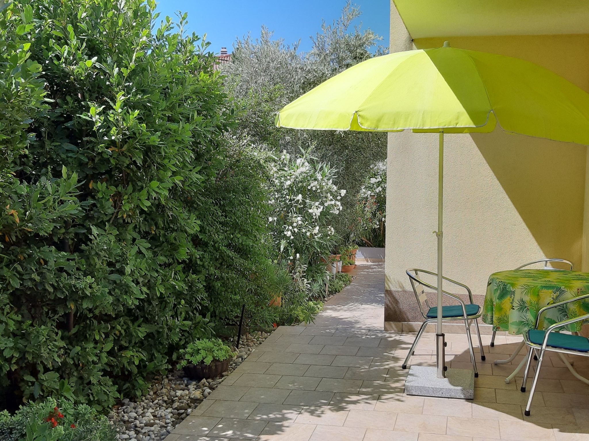 A paved pathway flanked by dense greenery and a yellow umbrella providing shade.