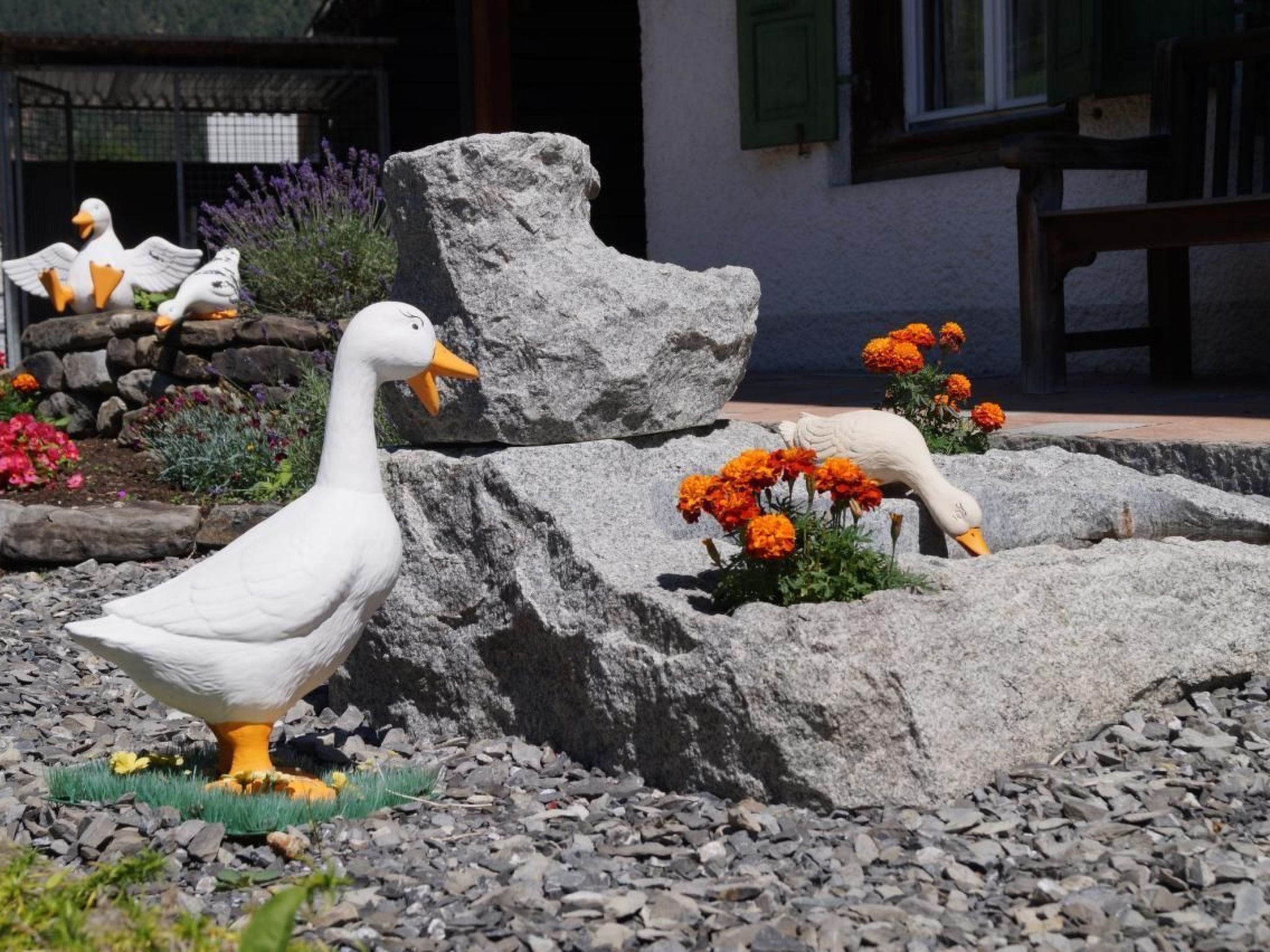 Detalle del exterior