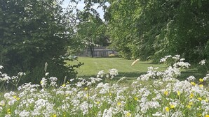 Lohkareinen puutarha, jossa on monenlaisia kukkia ja voikukkia, nurmikko ja taustalla näkyvä rakennus.
