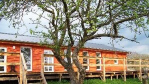 A red wooden building with multiple windows and a tree in front. - Zu den drei Schönen by Interhome (Boitzenburger Land)