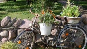 Una bicicletta parcheggiata accanto a un muro di pietra con vasi di piante.