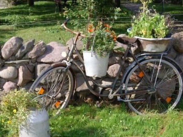 Terrain de l’hébergement 