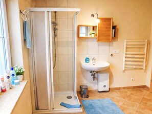 A bathroom with a glass-enclosed shower, a sink, a mirror, and a radiator. - in Pruchten mit Sauna und Kamin by Interhome (Bodstedt)
