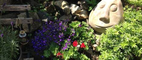 المنطقة المحيطة بالمنشأة