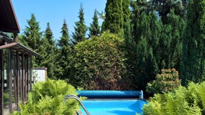 A swimming pool surrounded by lush greenery and tall trees. - in Maxen mit Privatem Pool by Interhome (Maxen)