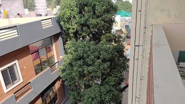 Un immeuble à plusieurs étages doté de balcons, un arbre dans la cour et un chemin piétonnier dallé.