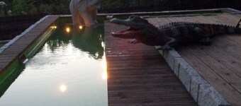 in Kuhklingen mit Großer Terrasse by Interhome