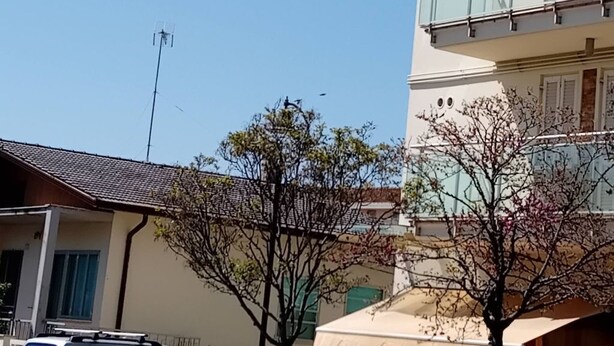 Imagen sin descripción, 1 de 11, botón