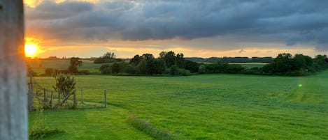 A rural landscape with a field and a fence in the foreground, and a cloudy sky with the sun setting in the background.