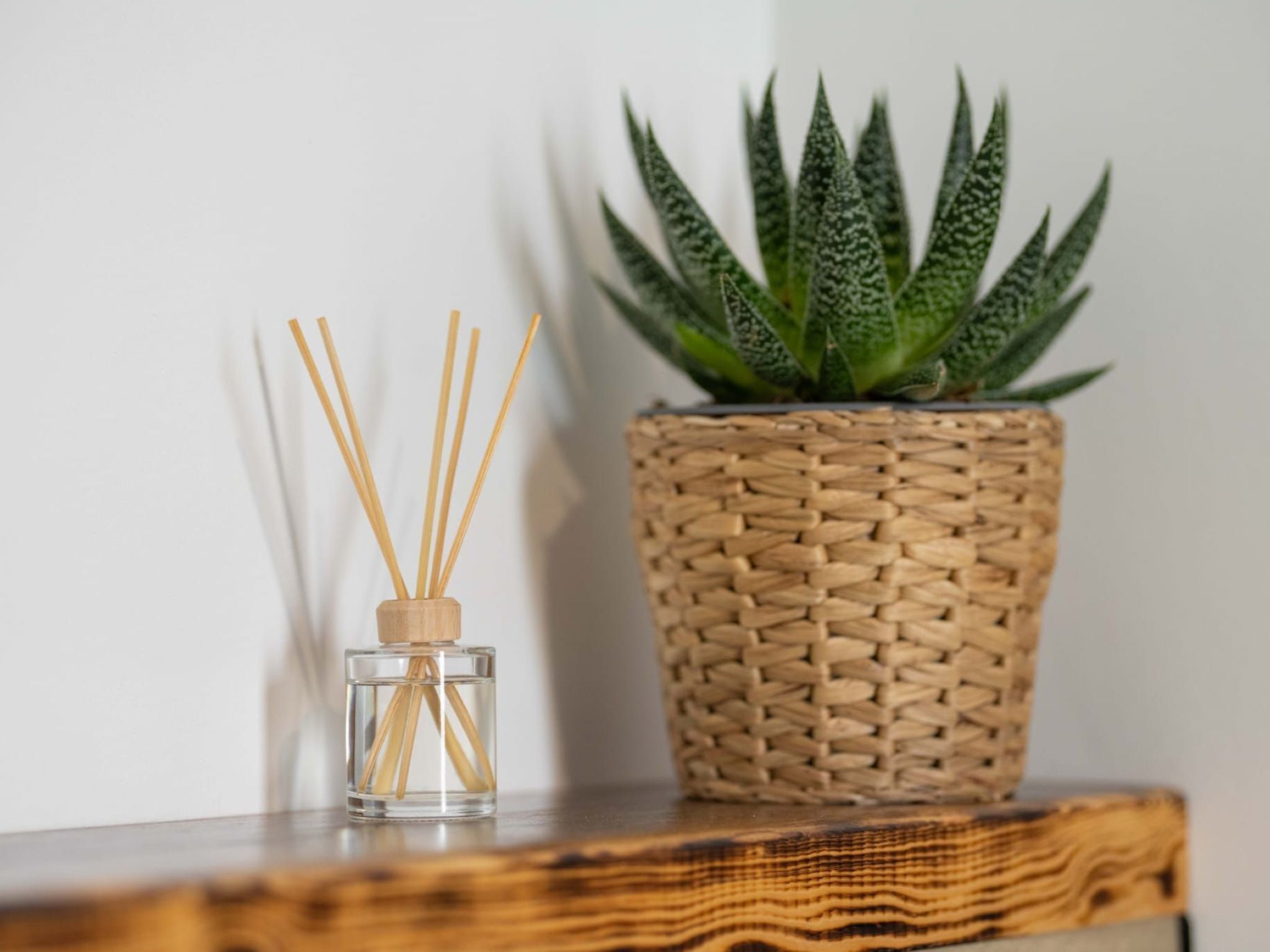 Un petit flacon en verre avec des tiges de roseau, un panier tressé contenant une plante verte et une surface en bois.