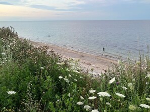 A beach with a person standing in the water, surrounded by dense vegetation and flowers. - Haus mit Herz by Interhome (Brodersby)