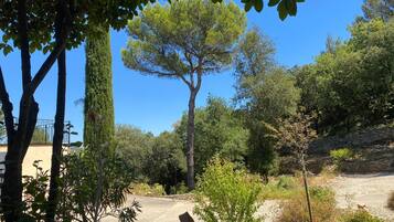 Overnatningsstedets område