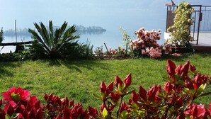A garden with red flowers, a palm tree, and a view of a lake with boats. - Casa Argo by Interhome (Ronco sopra Ascona)