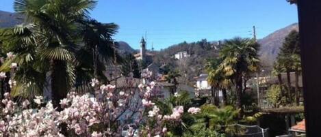 施設からの眺望