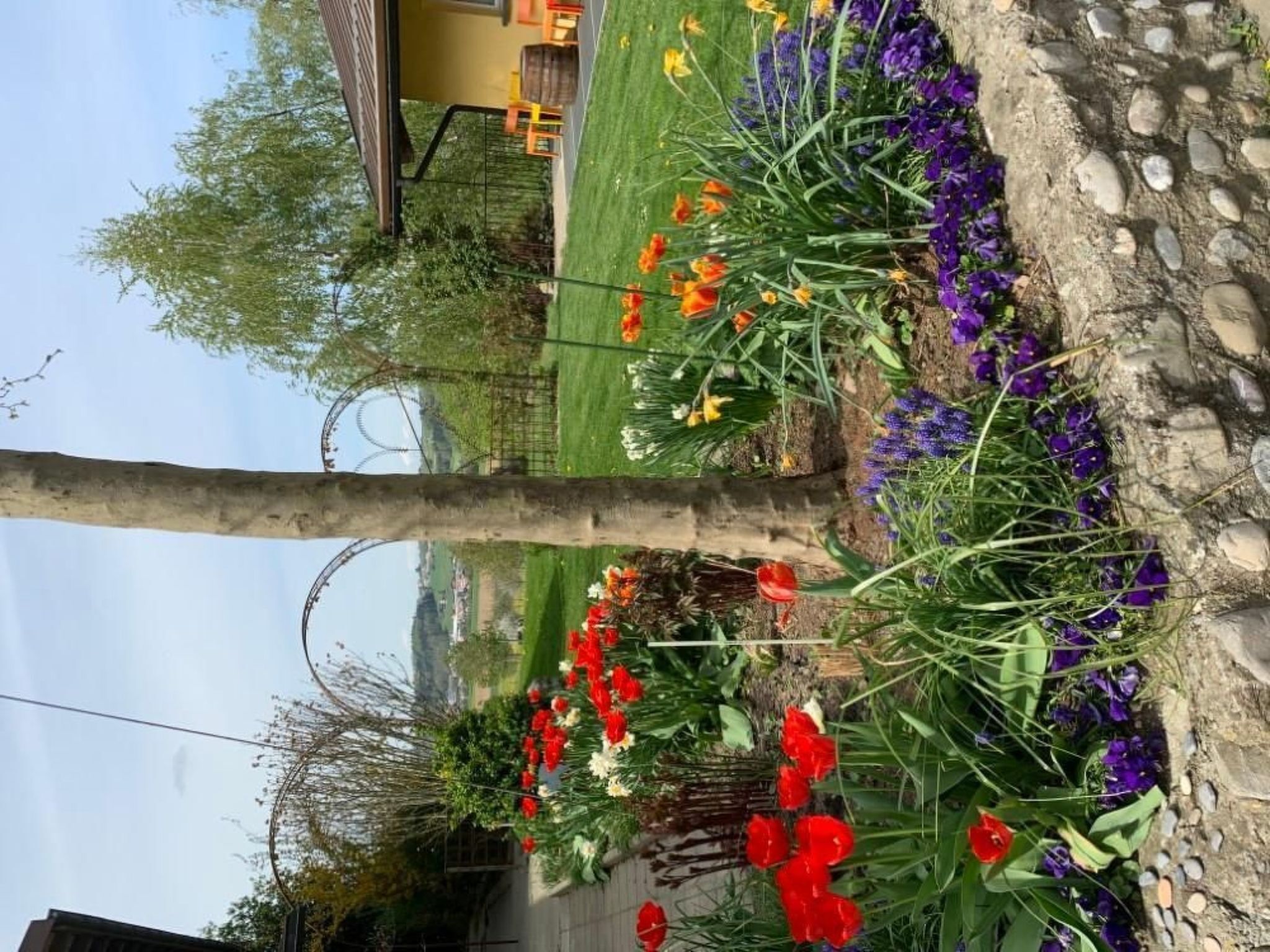 المنطقة المحيطة بالمنشأة