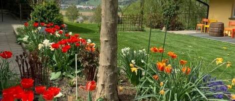 Jardines del alojamiento