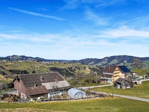 Miscellaneous - Ferienhof-Barenegg by Interhome (Bächli)